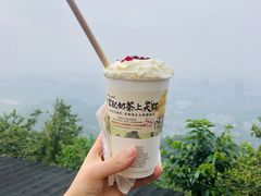 -茶颜悦色(岳麓山顶店)