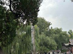 -晋祠公园