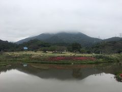 -梧桐山风景名胜区