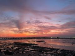 -宝安西湾红树林湿地公园