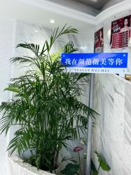 -武汉颜范薇美医疗美容门诊部