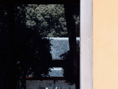 -阿育王寺
