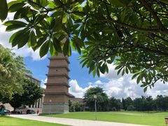 -平安（深圳）金融教育培训中心