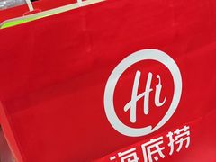 -海底捞火锅(吾悦国际广场店)