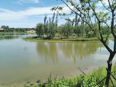 -张家湾公园
