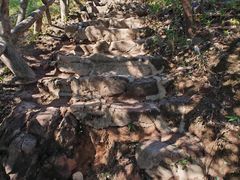 -梧桐山风景名胜区