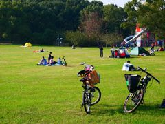 -昆山城市生态森林公园