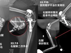 -柏萃动物医院·骨科·牙科