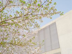 -龙美术馆(西岸馆)