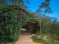 -广州市流溪河国家森林公园