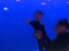 -沈阳海洋探索中心