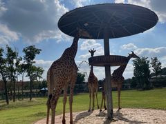 -南京金牛湖风景区