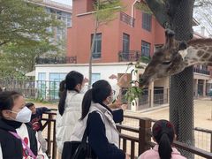 -灵玲国际马戏城