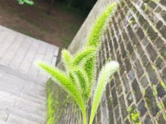 -沈阳市东陵公园