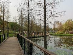 -映月湖公园