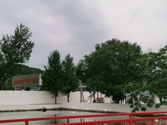 -向外鱼乐·土菜·虹鳟鱼