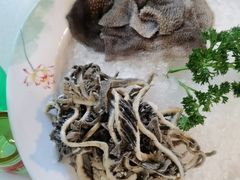 -二荆条·城市森林火锅旗舰店
