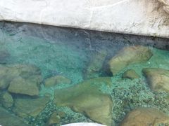-鄣山大峡谷