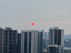 -禧月荟S月子中心(侨城店)