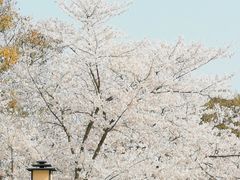 -穹窿山景区
