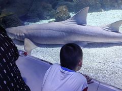 -常州海昌海洋探索馆