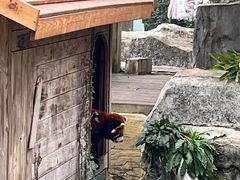 -黔灵山公园