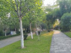 -大渡口区义渡公园