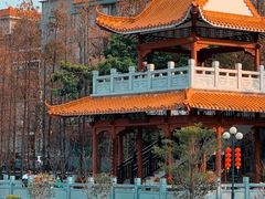 -东山湖公园
