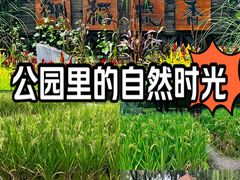 -海淀公园