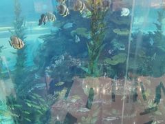 -鸿通城购物中心