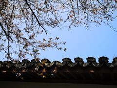 -西湖天地