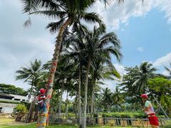 -石梅湾艾美度假酒店