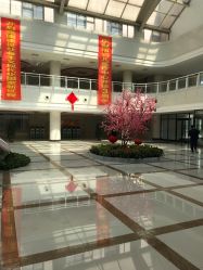 -大连市妇女儿童医疗中心