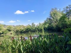 -溱湖国家湿地公园