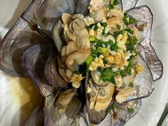 -全乐鱼馆·淳牌有机鱼直营店