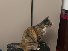 -新荟城(望京店)