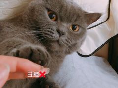 -袁家水泊水浒烤肉(白金店)