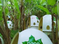 -100蛋泥浆浴