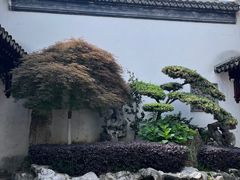 -檀园