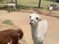 -南京金牛湖风景区