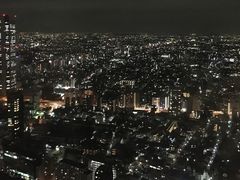 -东京都厅舍
