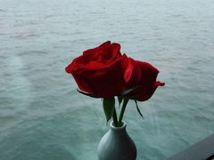 -柳莺湖上·湖景餐厅·江南菜(西湖店)