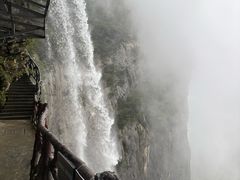 -鹿院坪生态旅游景区