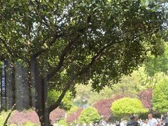 -食膳公园包子铺(烈士公园店)