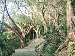 -小南山公园