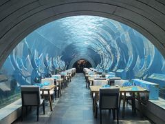 -海棠湾洲际-涛·海底餐厅·美人鱼·自助餐·海底隧道