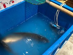 -东北烧烤·盱眙龙虾·巫山烤鱼·小海鲜