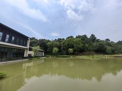 -南湾湖
