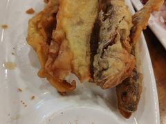 -凤齐羊肉烩面馆