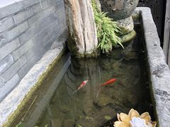 -古韵餐厅(湖畔大学店)
